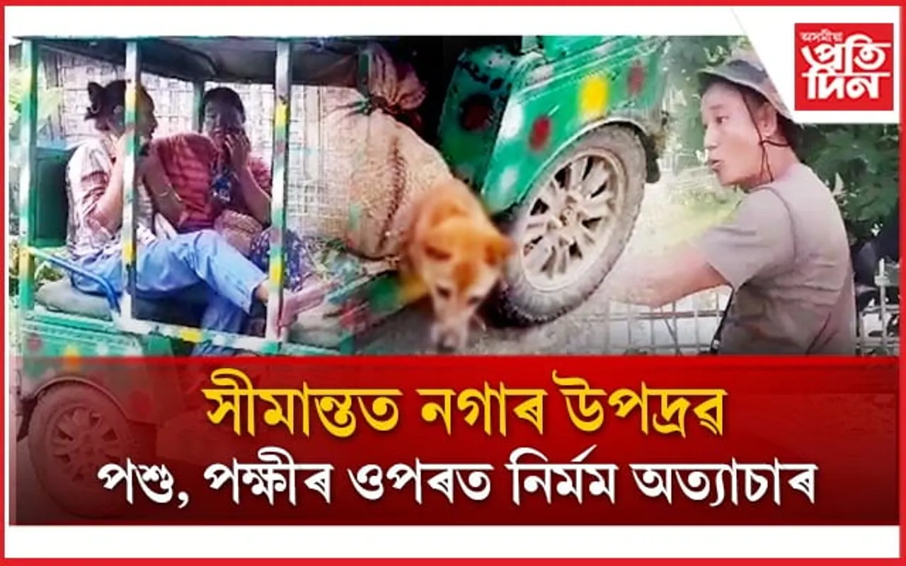 সীমান্তৰ গঞাৰ লগতে পশু-পক্ষী, জীৱ-জন্তুক নিৰ্মম অত্যাচাৰ নগাৰ...