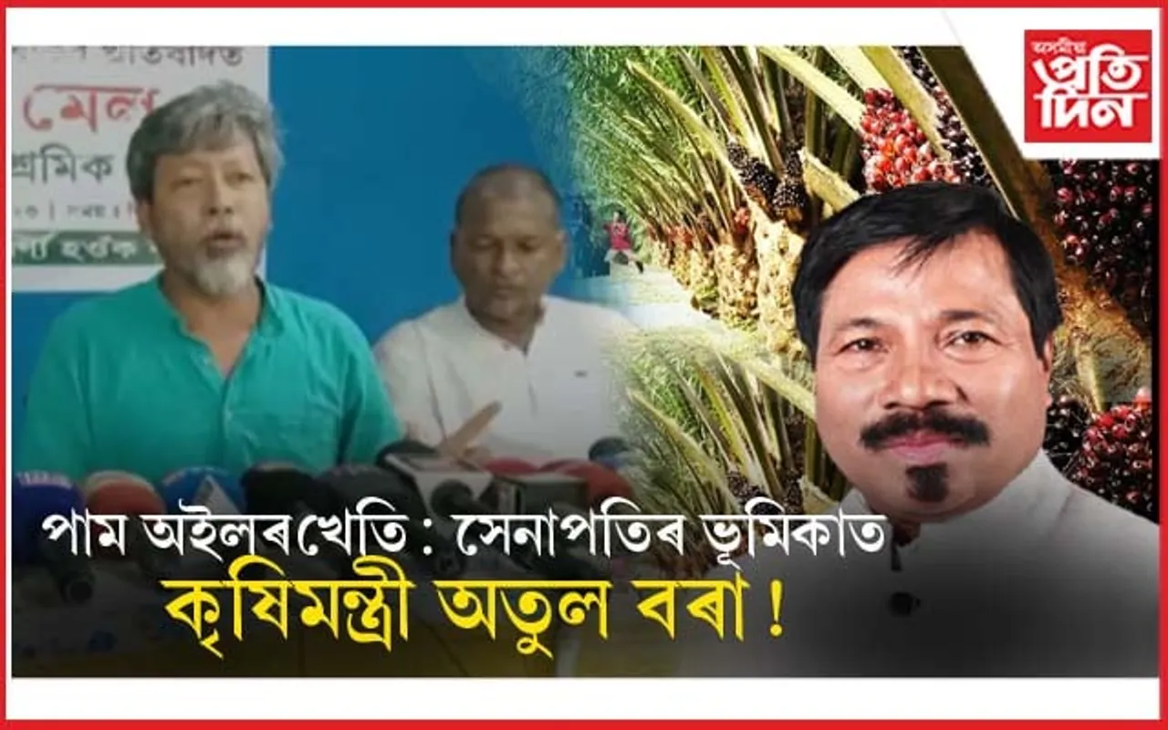 বহু দেশে নিষিদ্ধ কৰা পাম তেলৰ খেতি কৰিব অসমৰ ১৭ জিলাত...