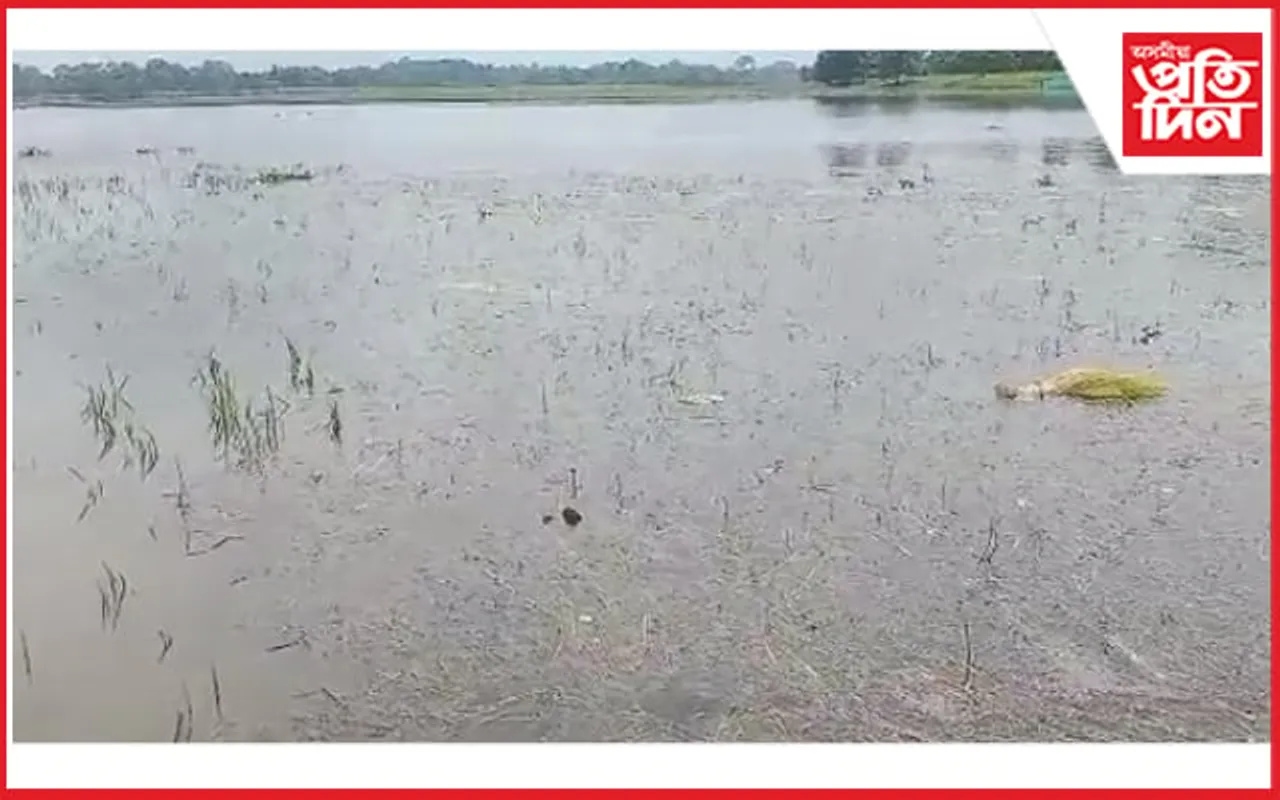 নীপকোৱে পানী এৰি দিয়াৰ ফলত খুমটাইৰ কেইবাশ হেক্টৰ কৃষিভূমি জলমগ্ন 