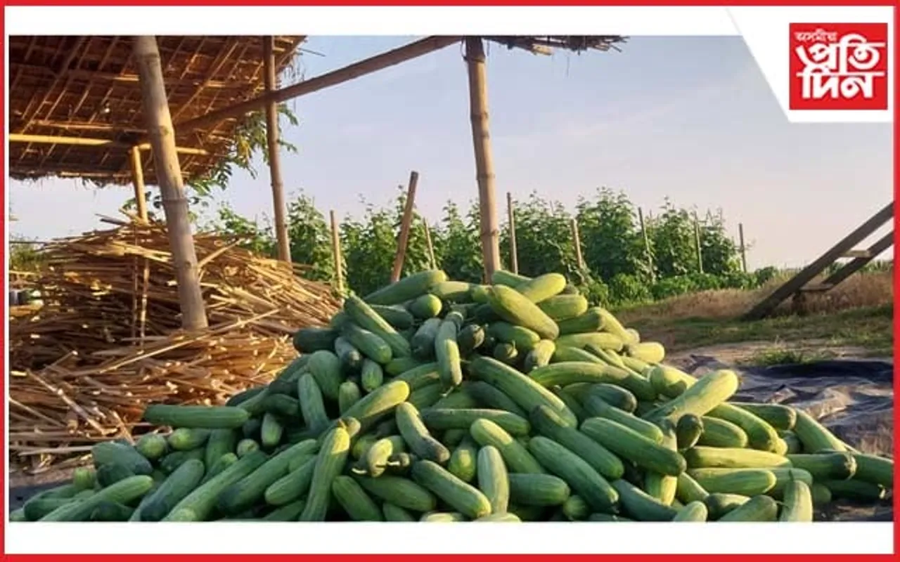 কৃষি কৰ্মৰে জামুগুৰিহাটৰ যুৱকে দেখুৱাইছে স্বাৱলম্বিতাৰ নিদৰ্শন