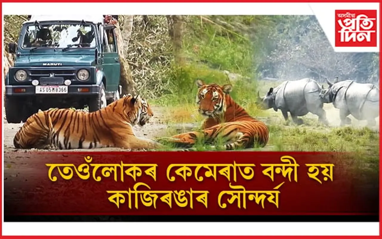 World Photography Day: কাজিৰঙাৰ সৌন্দৰ্যক লেন্সত আৱদ্ধ কৰি সুখী হোৱা কাকু, বিশ্বহঁতৰ কথা...