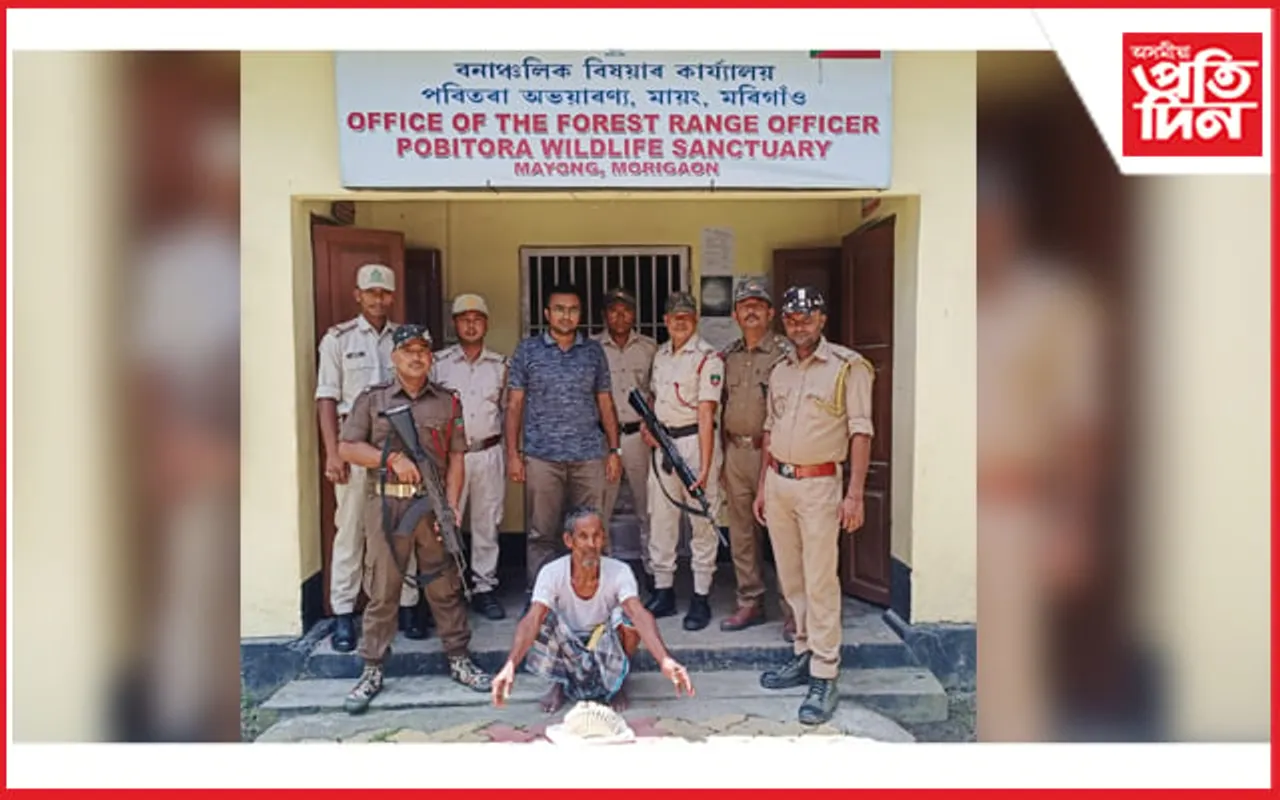 পবিতৰা অভয়াৰণ্য কৰ্তৃপক্ষৰ অভিযানত জব্দ হাতী দাঁত