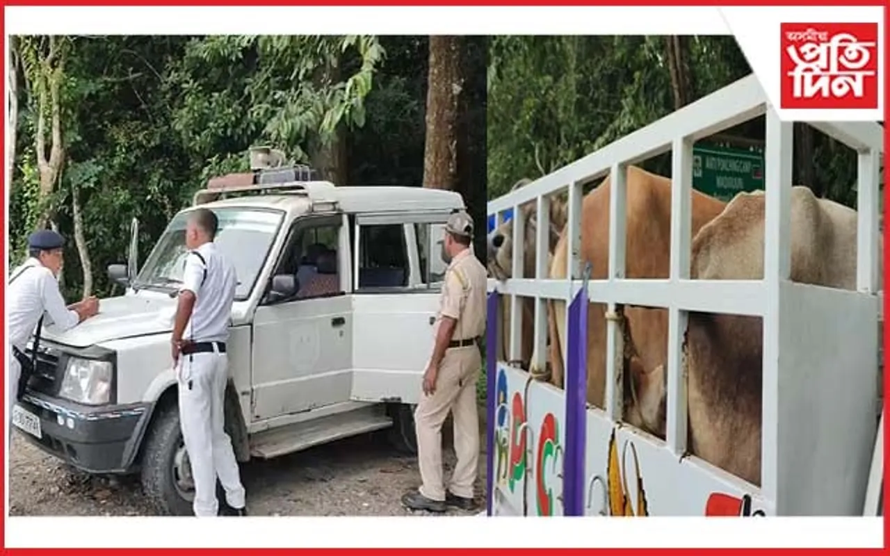 ধোঁৱা চাঙত গো-সুৰক্ষা আইনঃ বোকাখাত আৰক্ষীক এহাজাৰ দিয়ে পাৰ কৰে গো-ধন