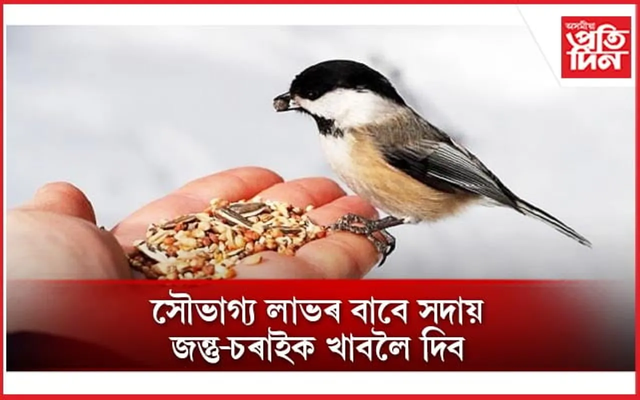 আঁতৰিব গ্ৰহ-গতিৰ দোষ, সন্তুষ্ট হ’ব মা লক্ষ্মী