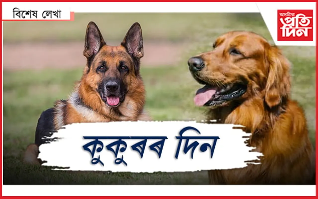 কুকুৰ নহলো কিয়? 