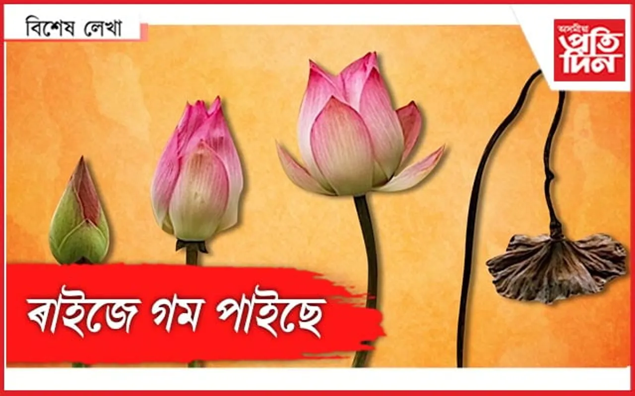 বিজেপি গেলিছে...