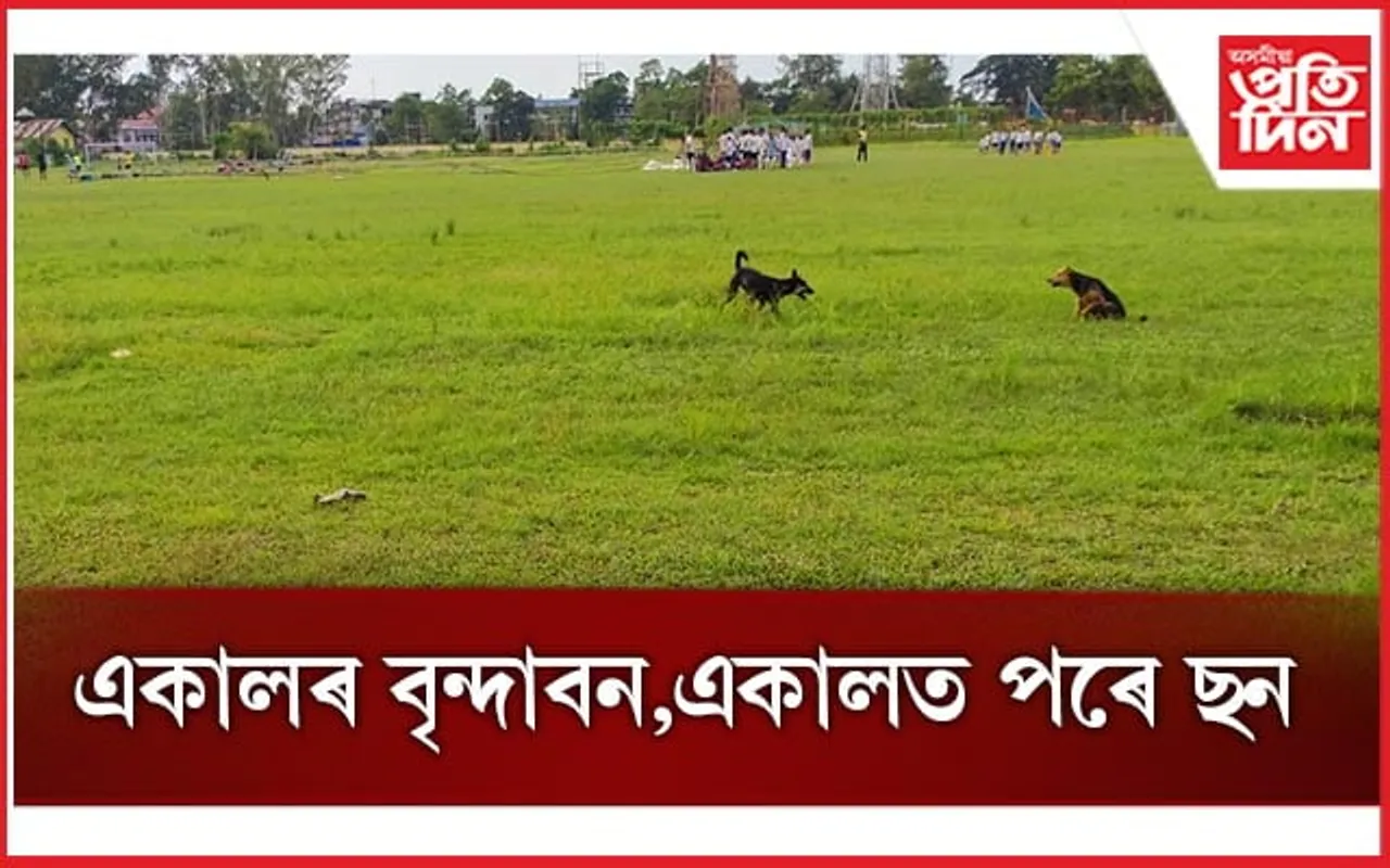 চৰণীয়া পথাৰত পৰিণত যোৰহাট ষ্টেডিয়াম : নিমাত ক্ৰীড়া বিভাগ