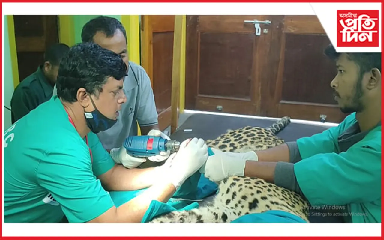 তথ্য সংগ্ৰহৰ বাবে বন্যপ্ৰাণীৰ দেহত মাইক্ৰশ্বিপ সংস্থাপনত সফল CWRC