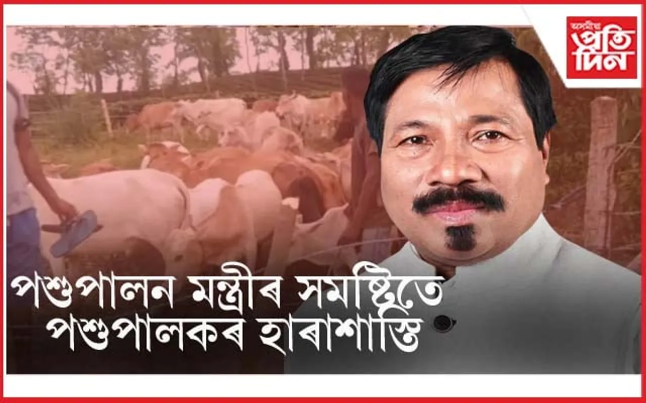 পশুপালন মন্ত্ৰী অতুল বৰাৰ সমষ্টিতে হাৰাশাস্তিৰ সন্মুখীন গো-পালক...