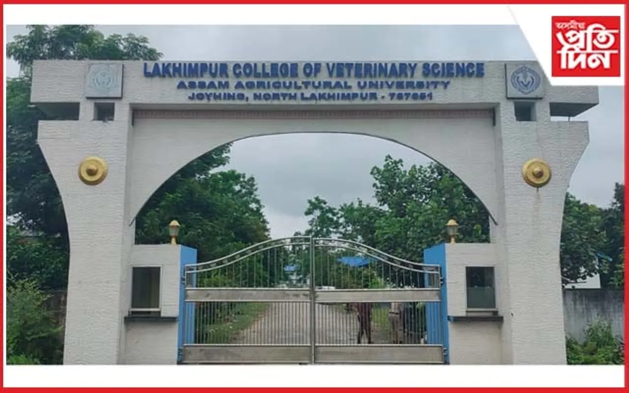 লখিমপুৰ পশু চিকিৎসা মহাবিদ্যালয়লৈ VCI ৰ স্বীকৃতি...