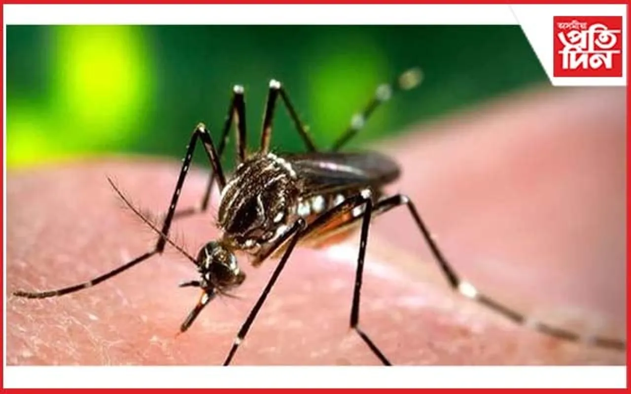 পশ্চিম বংগত ভয়াৱহ ৰূপত ডেংগু