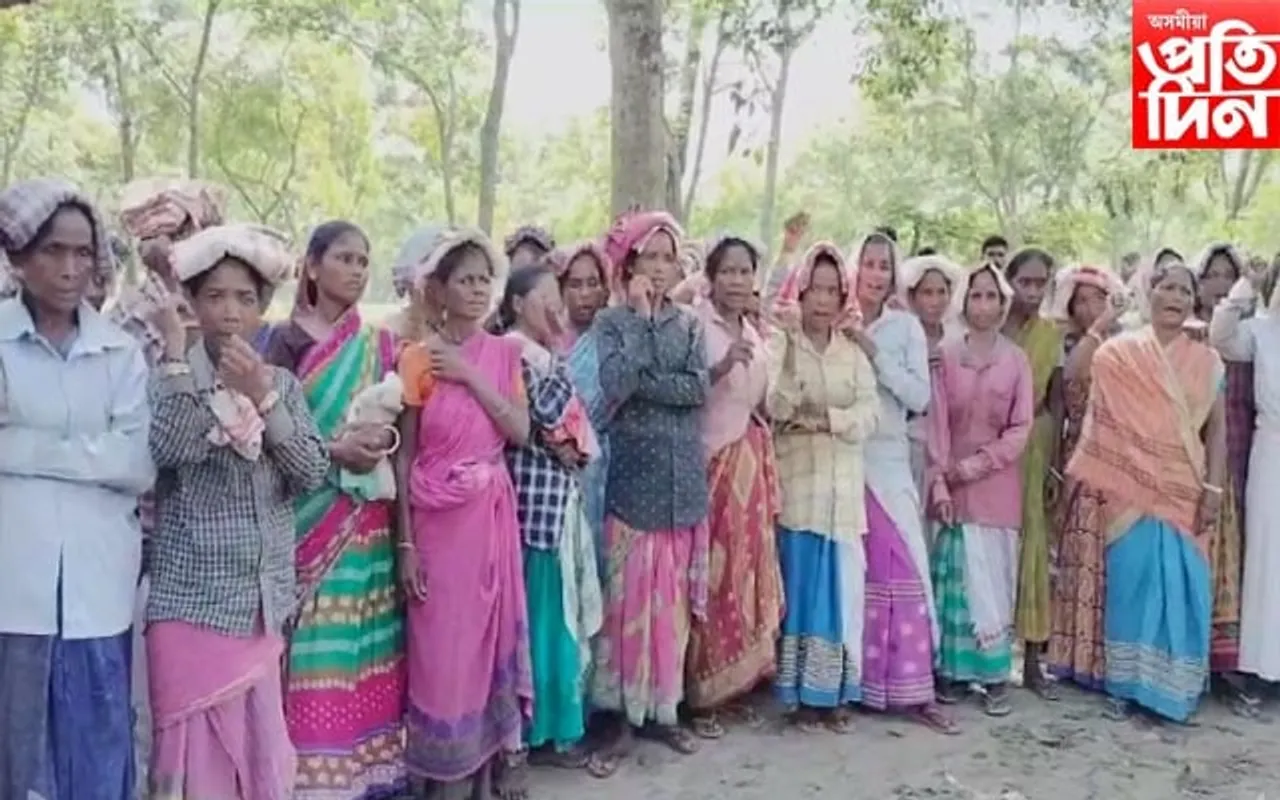 কৰম পূজাৰ দিনটোত বেতন কৰ্তনঃ প্ৰতিবাদ সাব্যস্ত চাহ শ্ৰমিকসকলৰ...