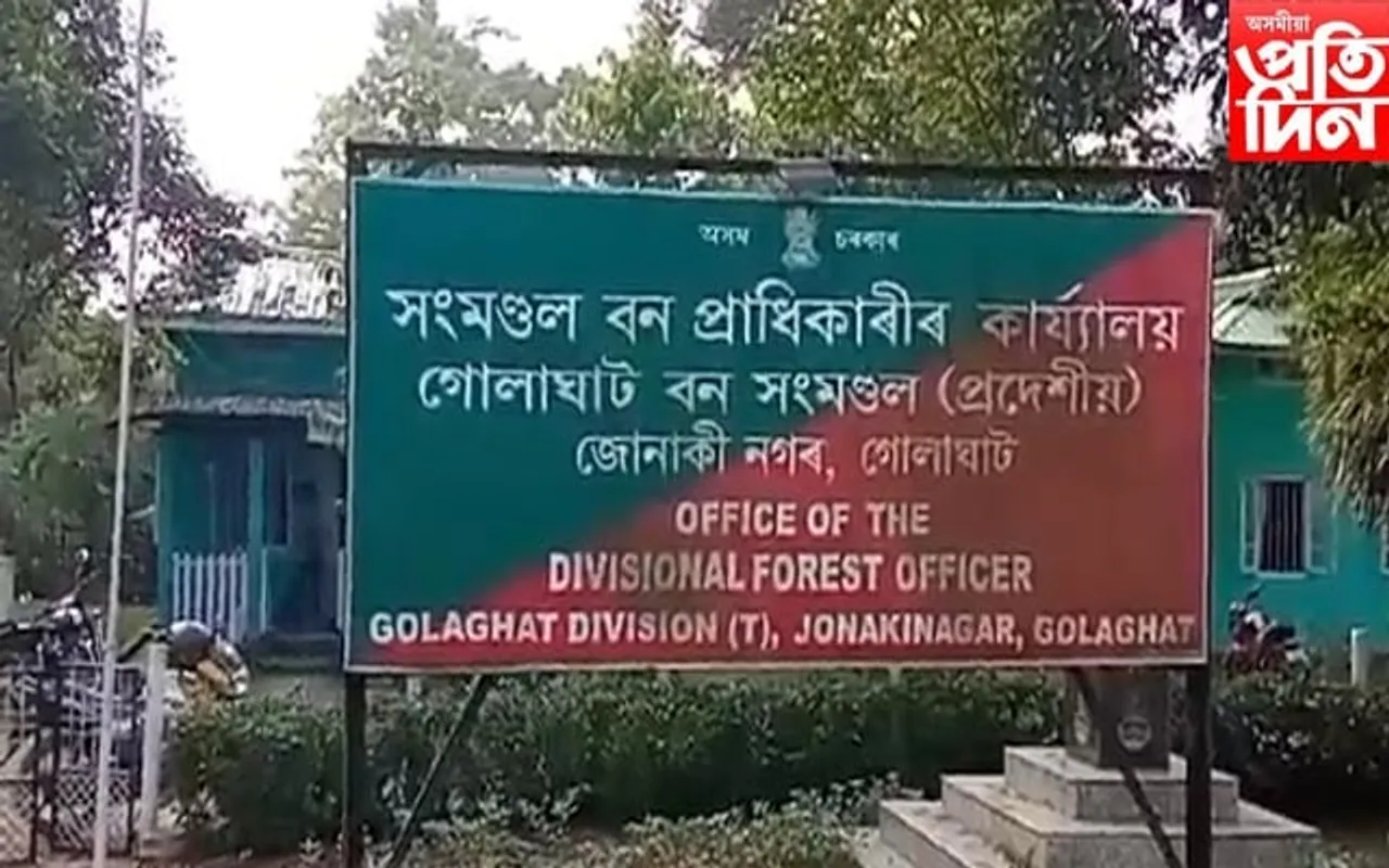গোলাঘাটত কেকো সাপসহ ৩ সৰবৰাহকাৰীক আটক বন বিভাগৰ