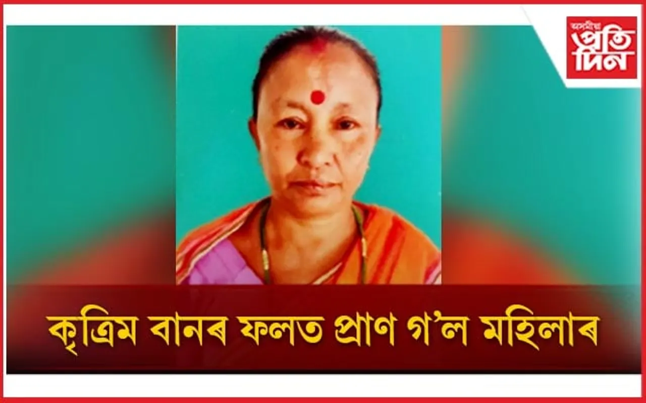 পথ অনুমান কৰিব নোৱাৰি পানীত পৰি মৃত্যু মহিলাৰ...