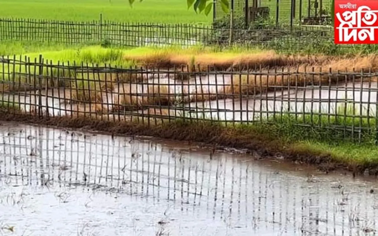 তৈল কোম্পেনী অইলমেক্সৰ উদ্ধতালি: জাতীয় সংগঠনৰ গোচৰ পঞ্জীয়ন নকৰিলে আৰক্ষীয়ে
