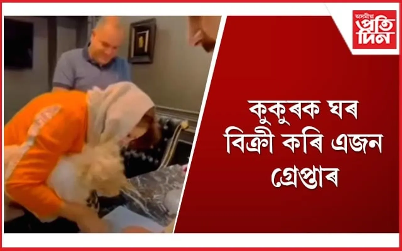 এপাৰ্টমেণ্টৰ গৰাকী হ'ল পোহনীয়া কুকুৰ, আইনী মেৰপাকত সন্তানহীন দম্পতি