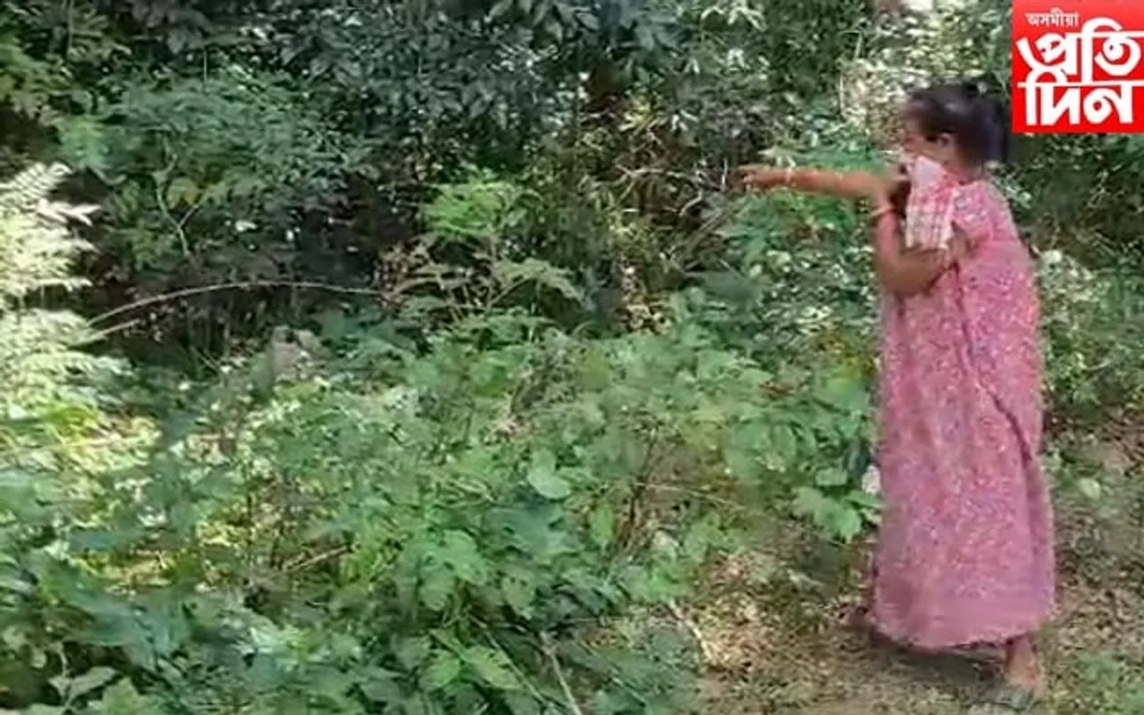 ঘৰৰ বাৰীত উদ্ধাৰ নৰকংকাল