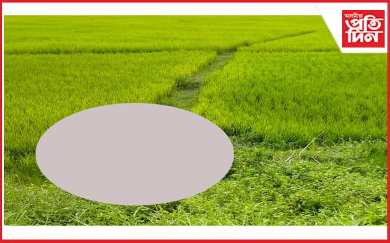কমাৰবন্ধাত বহিঃৰাজ্যৰ যুৱকৰ মৃতদেহ উদ্ধাৰঃ হত্যাৰ সন্দেহ আৰক্ষীৰ