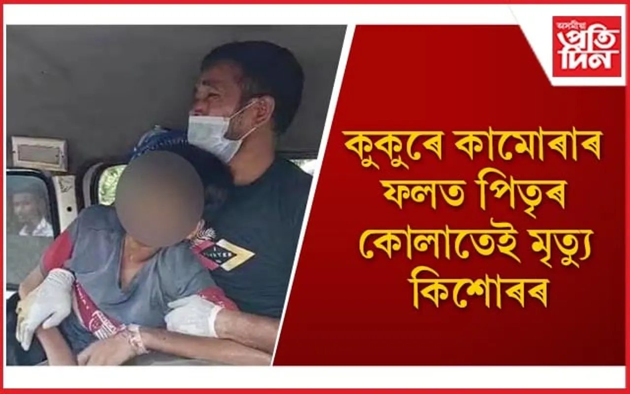 কুকুৰে কামোৰা বুলি ভয়তে কোৱা নাছিল পিতৃ-মাতৃক, সংক্ৰমণেই হ’ল কাল