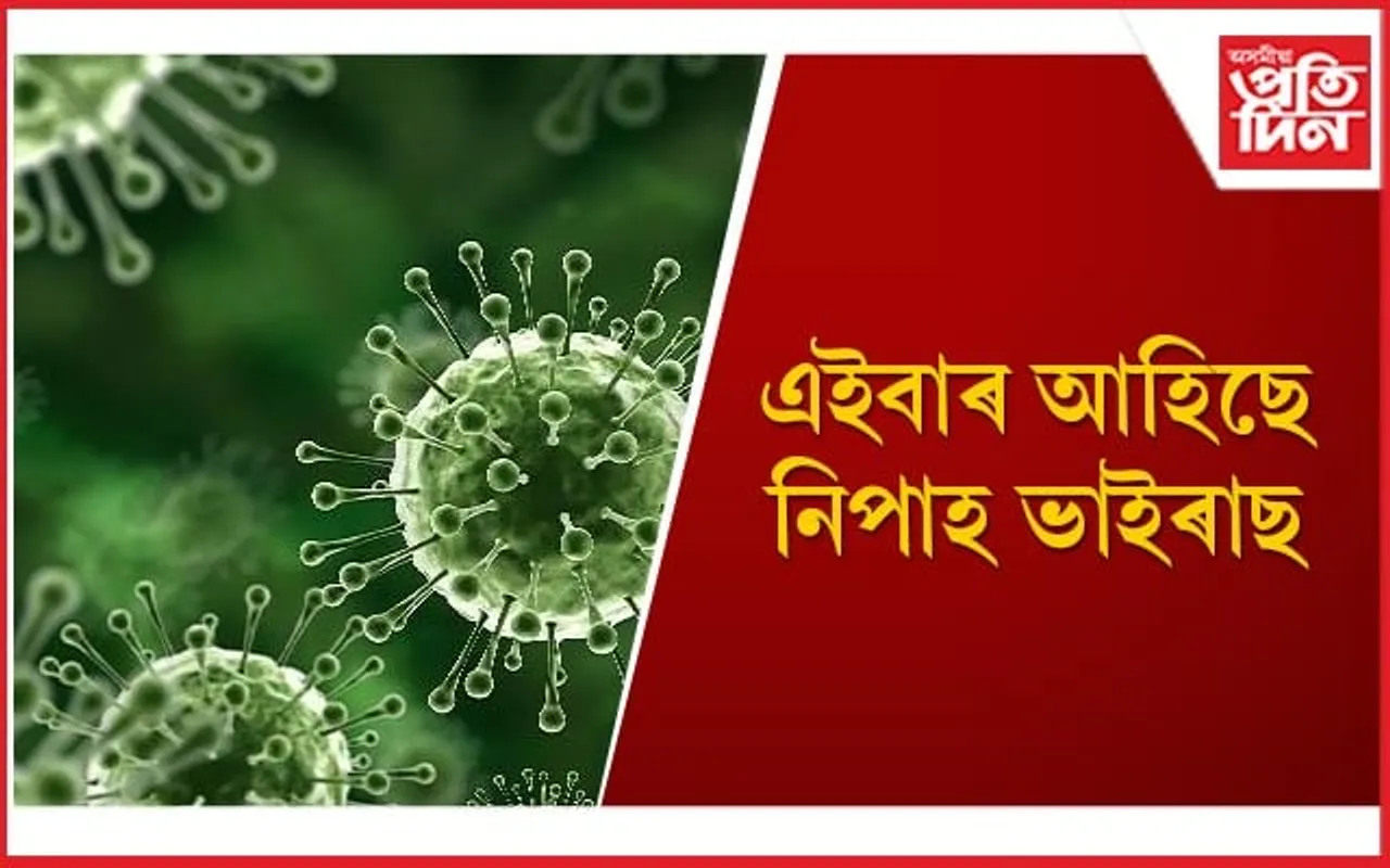 সাৱধান ! বৰ্তমানেও ওলোৱা নিপাহ ভাইৰাছৰ ঔষধ, শৰীৰত এনে লক্ষণ দেখা দিলে সচেতন হ’ব 