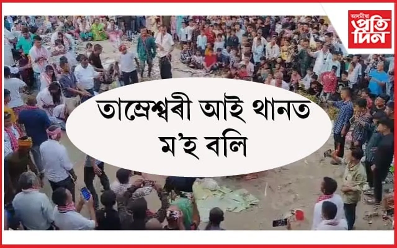 ঐতিহাসিক চিলাসুতি তাম্ৰেশ্বৰী আইথানত মহা নৱমী উপলক্ষে ম'হ বলি...