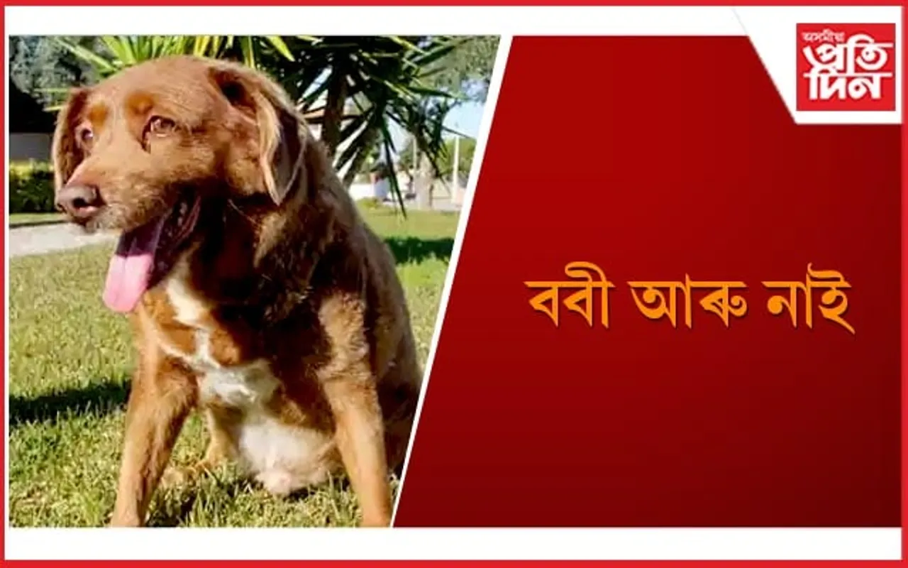 মৃত্যু হৈও অভিলেখ গঢ়িলে ববীয়ে, অজস্ৰজনৰ শোক প্ৰকাশ