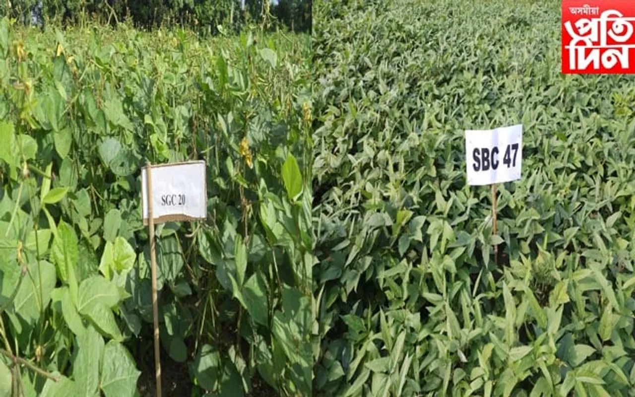ৰাষ্ট্ৰীয় পৰ্যায়ত অসম কৃষি বিশ্ববিদ্যালয়ৰ বিজ্ঞানীৰ  অভূতপূৰ্ব সফলতা