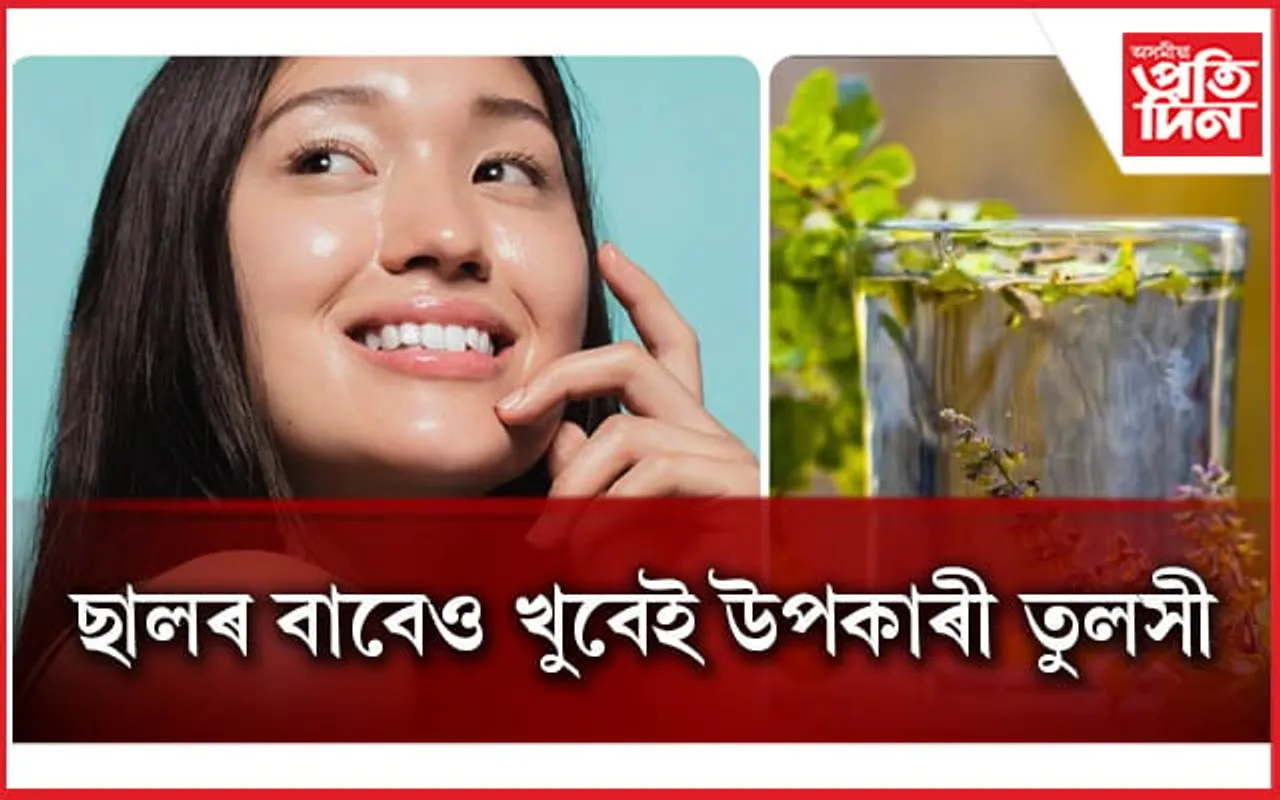 ছালৰ সমস্যা সমাধানত তুলসী কিদৰে ব্যৱহাৰ কৰিব লাগে জানি লওঁক