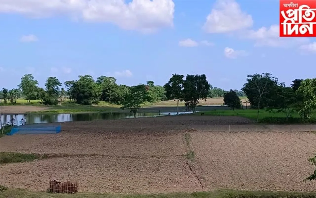 মাইক্ৰ'ফাইনেন্সৰ ঋণ লৈ ৰবি শস্যৰ পথাৰত নামিছে বোকাখাতৰ কৃষক