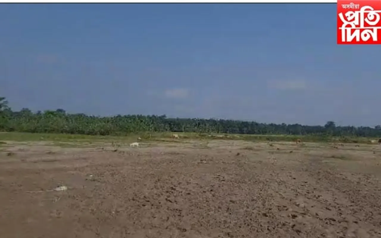 বেকাজান গাইনবাৰী গাঁৱত কাতি বিহু দিনা পথাৰত নজ্বলে বন্তি...
