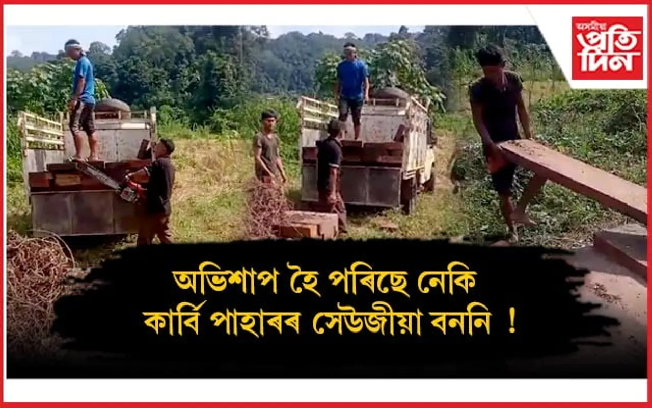 কাৰ্বি পাহাৰ, গোলাঘাটক কেন্দ্ৰ কৰি উজনিত শক্তিশালী চোৰাং কাঠৰ ছিণ্ডিকেত !