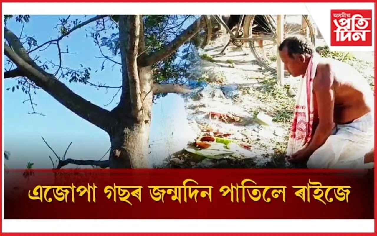 প্ৰকৃতি-প্ৰেমৰ ব্যতিক্ৰমী নিদৰ্শনঃ ৰাইজে উদযাপন কৰিলে এজোপা গছৰ ওপজা দিন..
