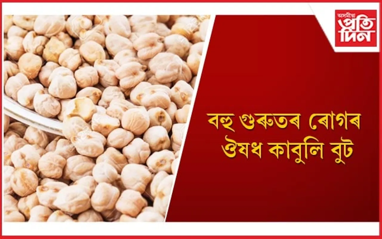 আপোনাৰ খাদ্য তালিকাত আজিয়েই অন্তৰ্ভূক্ত কৰক কাবুলি বুট