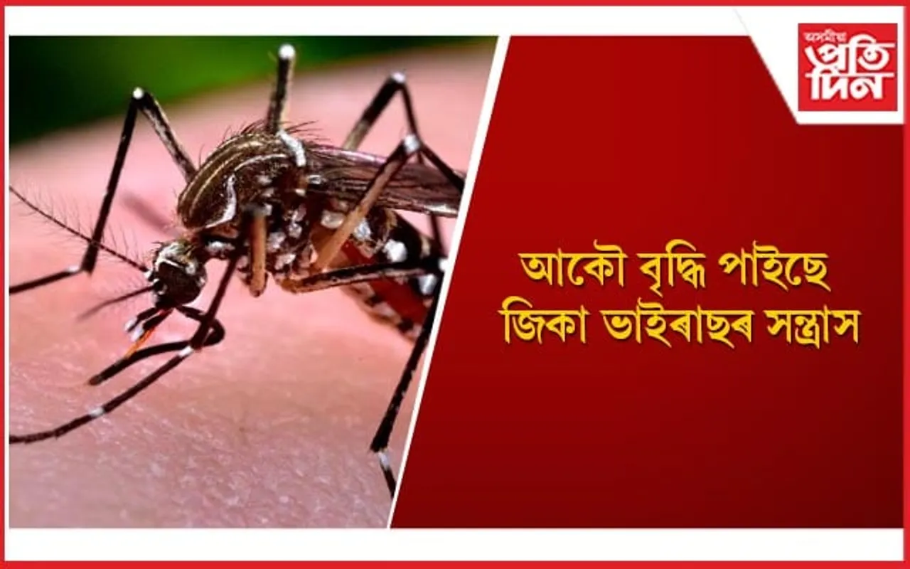 জিকা ভাইৰাছৰ লক্ষণ, প্ৰতিৰোধৰ উপায় জানি লৈ সাৱধান হওঁক