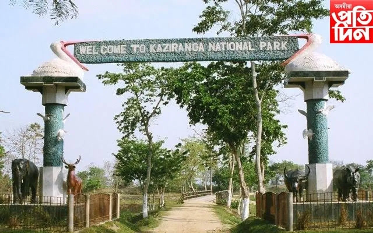 পৰ্যটকৰ বাবে মুকলি হ'ল কাজিৰঙাৰ অগৰাতলি বনাঞ্চল