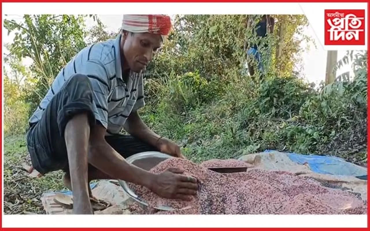 কৃষি মন্ত্ৰীৰ সমষ্টিত কৃষকৰ হাহাকাৰ : ৰাসায়নিক সাৰৰ চিণ্ডিকেটত হতাশ কৃষক