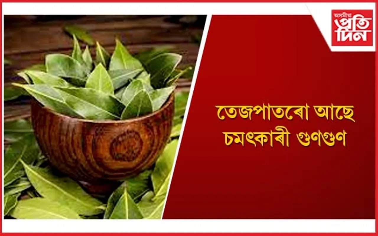ডায়েবেটিছকে ধৰি বহু ৰোগ নিয়ন্ত্ৰণত সহায়ক তেজপাত
