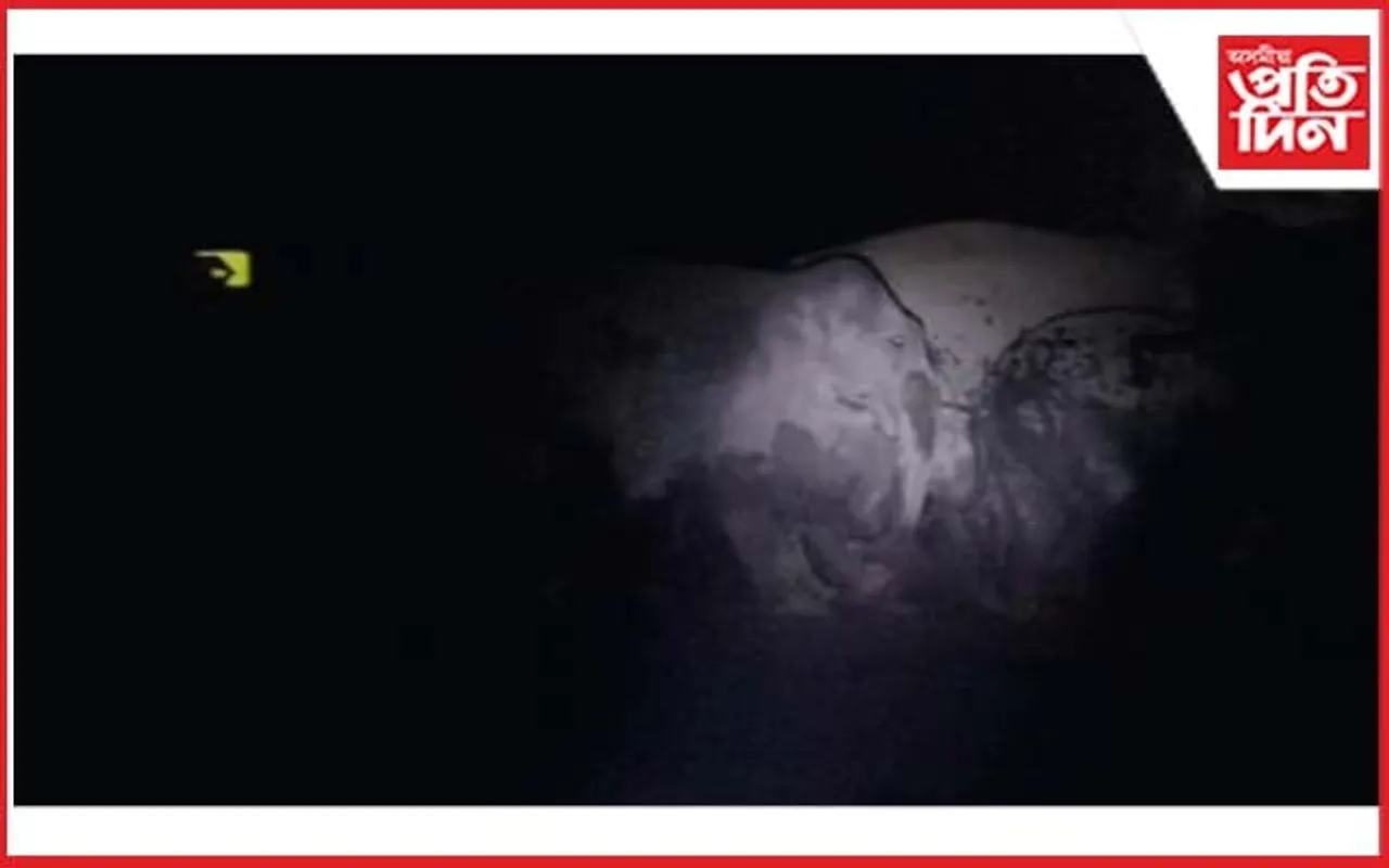 কঠীয়াতলীত বন্যহস্তীৰ জাকে নিদ্ৰা হৰণ কৰিছে সাধাৰণ ৰাইজৰ