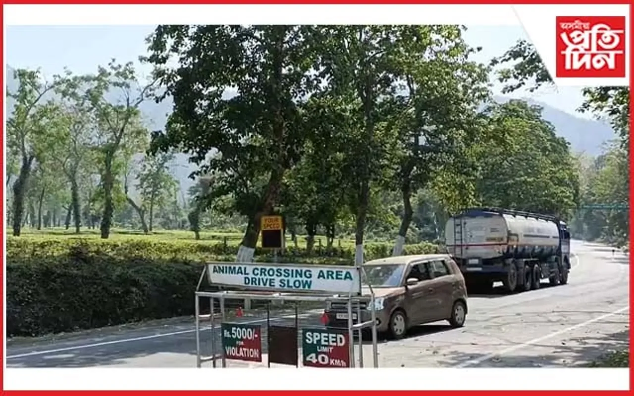 কাজিৰঙাত দীৰ্ঘদিন ধৰি বিকল কোটিটকীয়া চেনচৰ কেমেৰা 