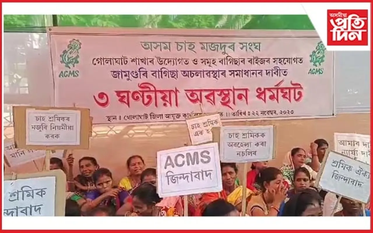 গোলাঘাটৰ জামুগুৰি চাহ বাগিচাত অচলাৱস্থা, প্ৰতিবাদত বহিল একাংশ