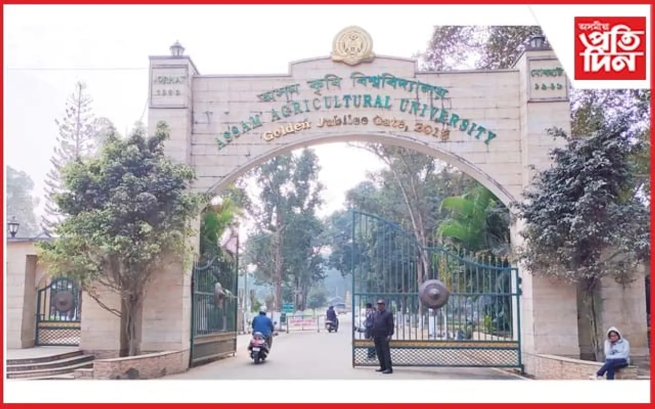 অসম কৃষি বিশ্ববিদ্যালয়ৰ অভিলাসী আঁচনি : ৬,৯০০ বিঘা কৃষিভূমিত টৰিয়া-সৰিয়হৰ খেতিৰে হালধীয়া বিপ্লৱৰ লক্ষ্য