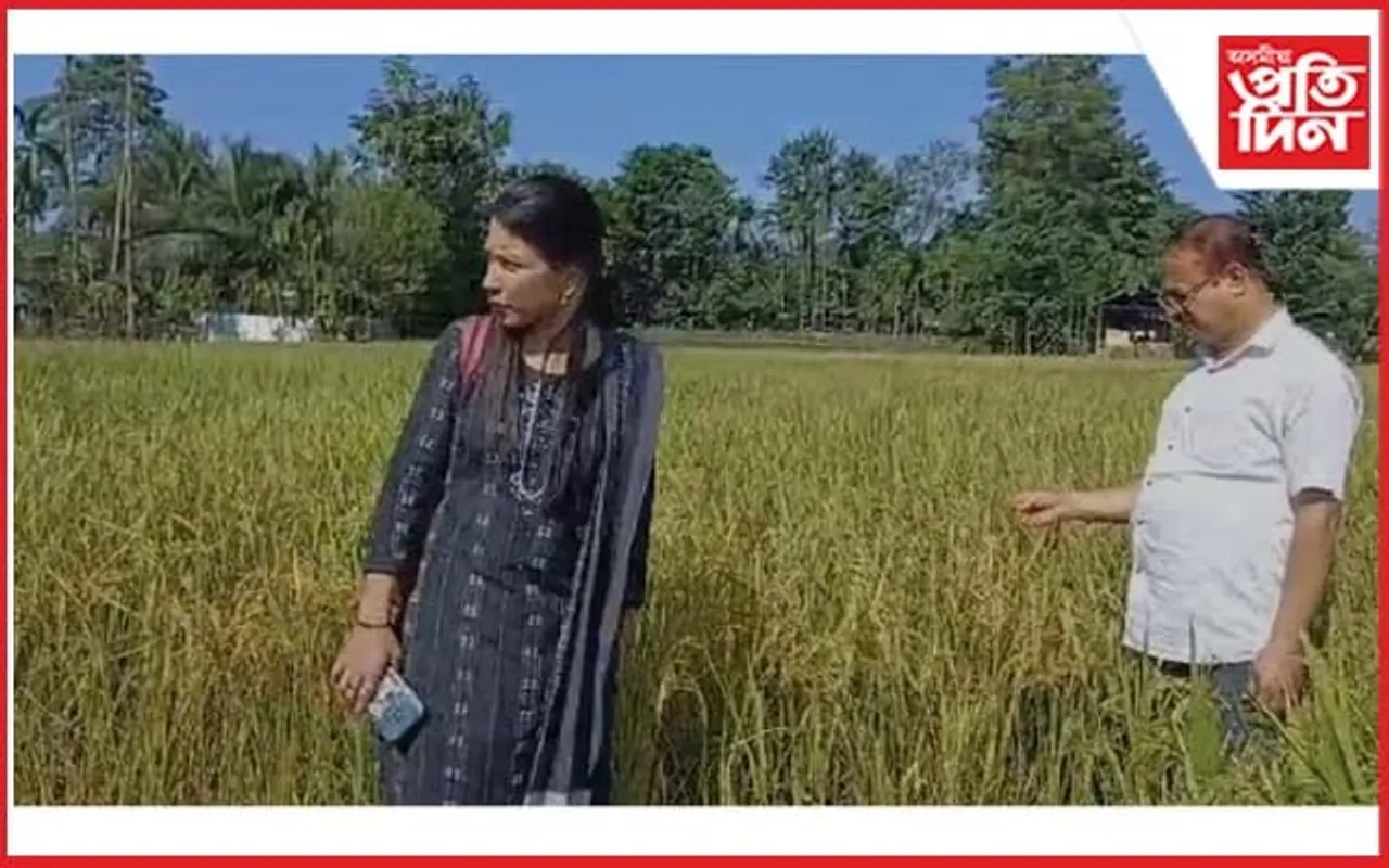 সৰভোগৰ চেঙেলীয়াত কৃষি উন্নয়ন বিষয়াৰ পৰিদৰ্শন