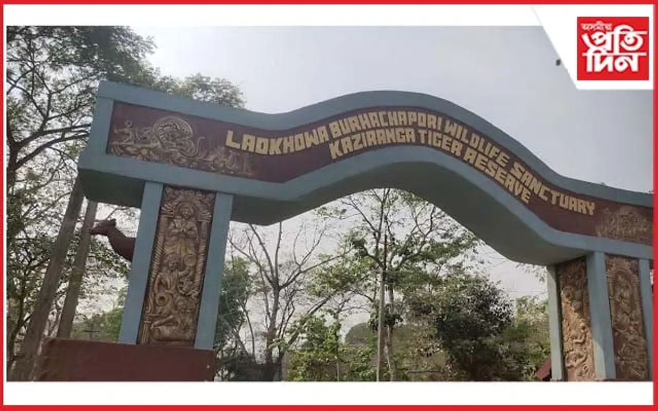 বনভূমি দখল কৰা ৯৪ টা পৰিয়ালক চৰকাৰে দিলে মাটিৰ পট্টা 
