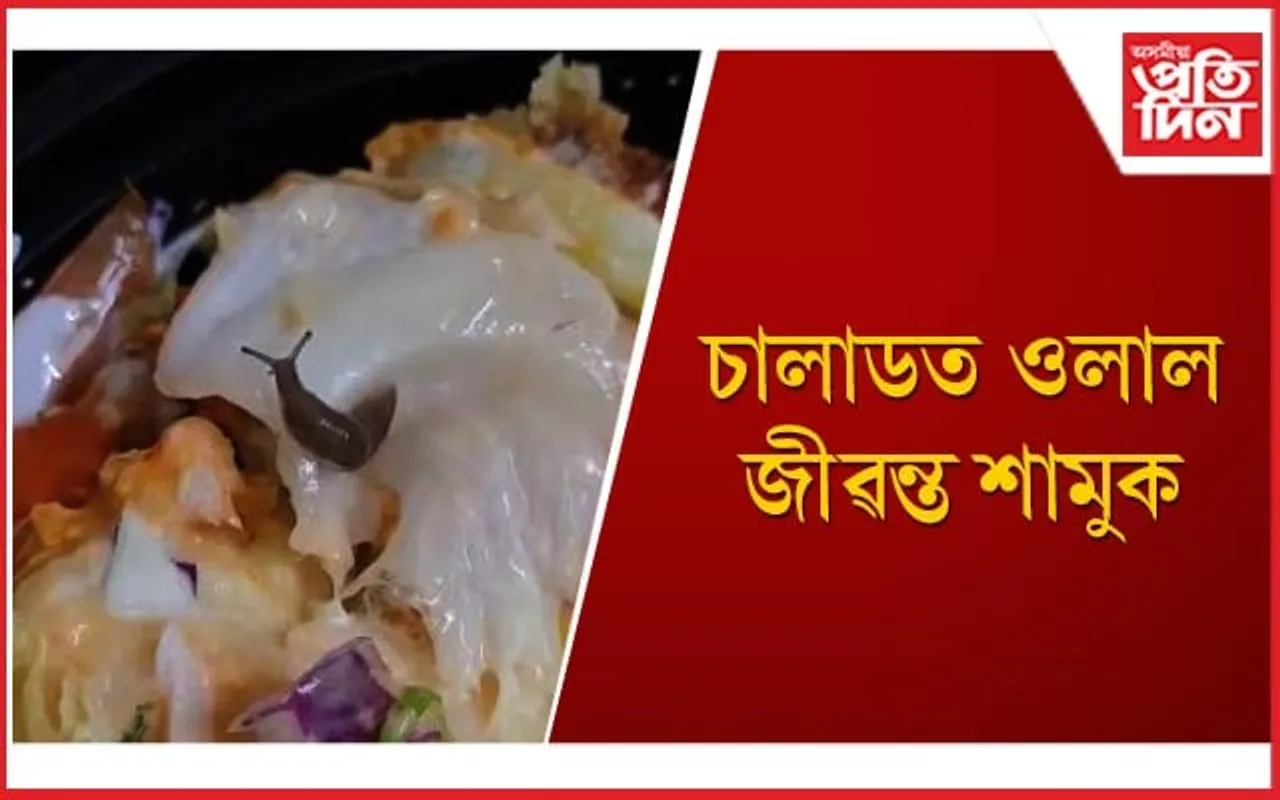 ৰেষ্টুৰেণ্টৰ খাদ্য অৰ্ডাৰ কৰি খাওঁতে সাৱধান হ’ব 