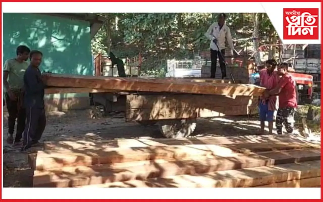 কলিয়াবৰত লুকুৱাই ৰখা অৱস্থাৰ পৰা চোৰাং কাঠ জব্দ...