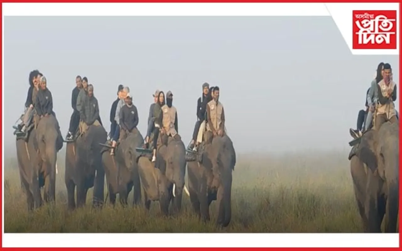 কাজিৰঙাত প্ৰকৃতিৰ বিনন্দীয়া ৰূপত মোহাচ্ছন্ন পৰ্যটক