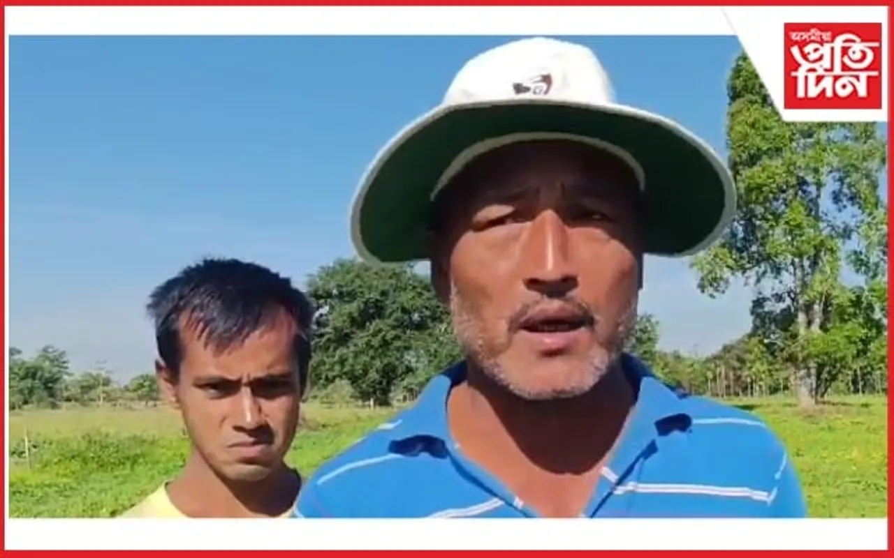 ডিব্ৰুগড়ৰ কলাখোৱাত বনৰীয়া মহ'ৰ উপদ্ৰৱ