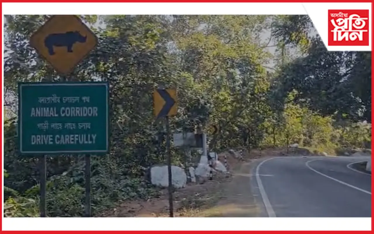 কাজিৰঙাৰ বুঢ়াপাহাৰত তীব্ৰ বেগী বাহনৰ খুন্দাত দুষ্প্ৰাপ্য টুপিমুৰীয়া বান্দৰৰ মৃত্যু...