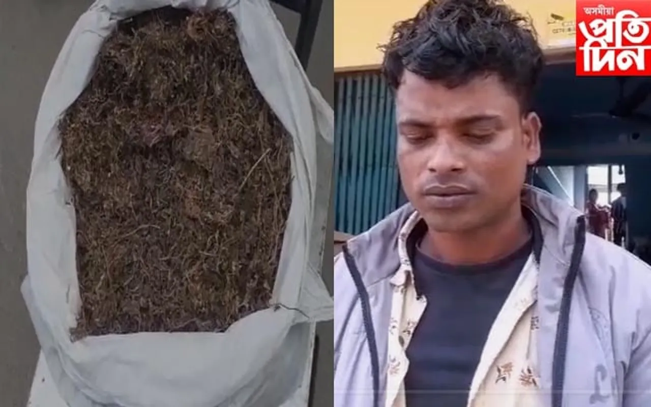 জামুগুৰিহাটত গাঞ্জাসহ আটক এজন
