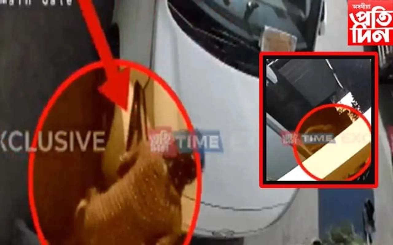 বেলতলাত চাঞ্চল্যকৰ কাণ্ড : দেৱাল পাৰ হৈ মহিলাই চুৰি কৰি নিলে ই-ৰিক্সাৰ বেটাৰী